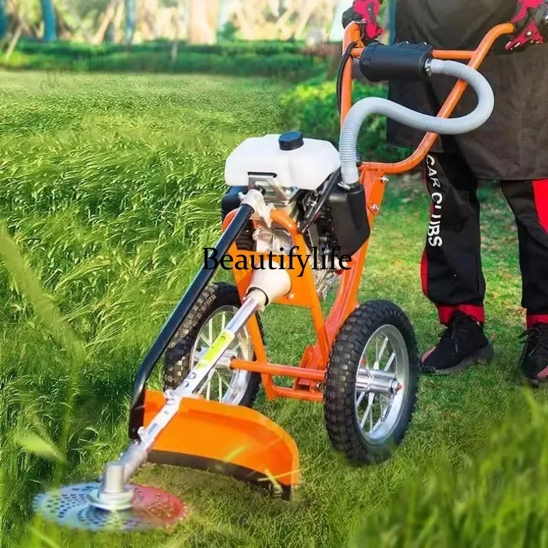 L178 Rasaerba a spinta manuale - Power Tools Garden recensione e prezzo
