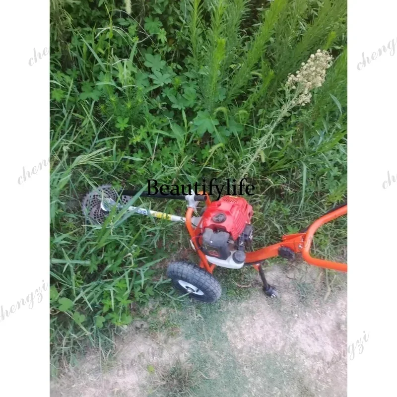 L178 Rasaerba a spinta manuale - Power Tools Garden recensione e prezzo